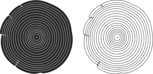 Black and white cross-section of a tree trunk with concentric rings © Simanta