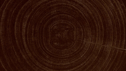 Fototapeta premium Dark brown wood grain texture with circular tree rings, rustic and natural.