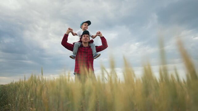 Father carries son on shoulders in wheat field. Farmer family enjoying nature. Father son bonding in wheat field. Rural family lifestyle. Family values in farming. Family togetherness in wheat field.