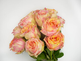 Fototapeta premium Bouquet of fresh pink and cream variegated roses with visible stems on beige background. Beautiful bicolor flowers with orange and pink striped petals, floral composition for wedding design