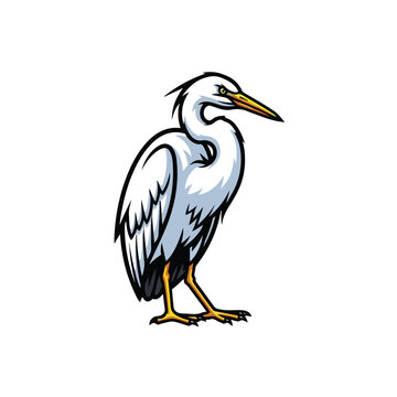Illustration of a graceful white egret standing isolated on a white background.