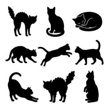 Black cat silhouettes collection showing various poses of feline behavior and movement.