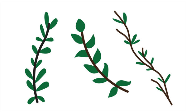 botanical leaf twig set -green foliage vector illustration