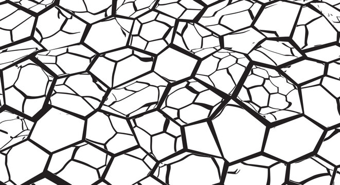 Black and white abstract geometric cellular honeycomb Voronoi pattern vector background