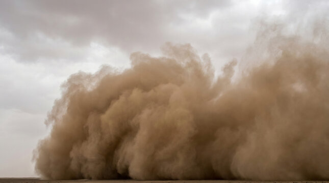 Dense tan-brown dust and sand storm cloud billowing against a flat overcast sky