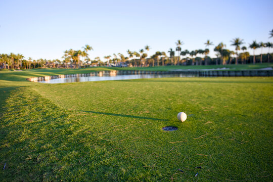 Golf ball rests beside the hole on a putting green next to a pond and palm trees