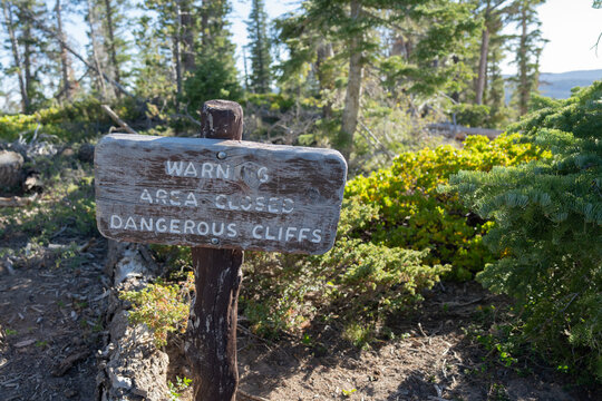 Rustic, hand-painted wooden trail sign reading "WARNING AREA CLOSED DANGEROUS CLIFFS" stands on a wooden post in a forested outdoor setting, offset with background visible on the right side of frame.