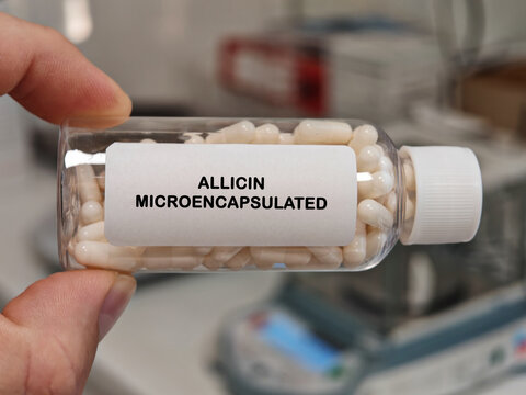ALLICIN MICROENCAPSULATED hard capsule nutritional supplement for immune and antioxidant health support in a pharmacy laboratory