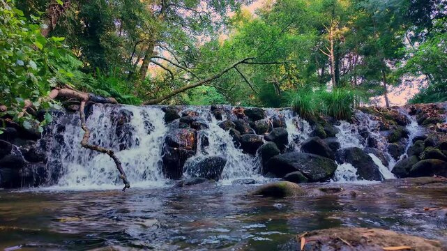 Crystal clear water flows across textured dark rocks in a tranquil woodland setting, illuminated by soft natural light filtering through lush green foliage.