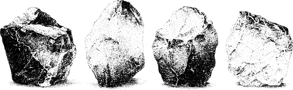 Rough geological rock specimens shown in single row on white