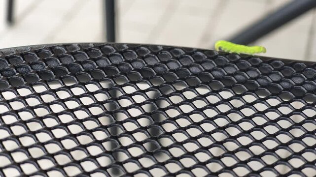 Bright green caterpillar crawls on black mesh table. Tiny creature moves slowly over metal surface. Outdoor scene suggests casual, everyday setting. Caterpillar appears unbothered, continuing its path