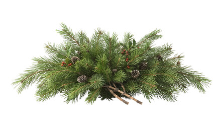 Fototapeta premium Christmas pine and fir branch arrangement with pinecones and red berries isolated on black background.