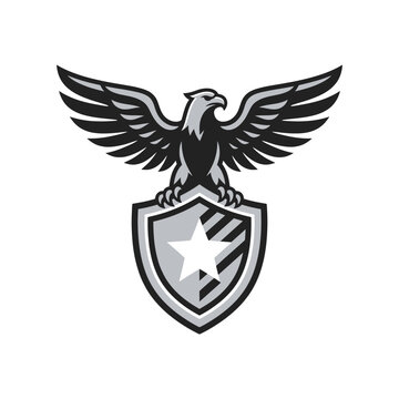 Eagle mascot logo with wings on star shield