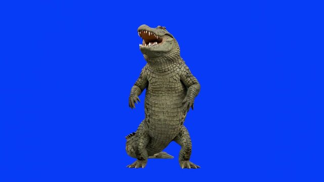 Detailed 3D model of a green alligator or crocodile standing upright on its hind legs with open mouth, isolated on a bright solid blue background. Perfect for wildlife documentaries, reptile video com