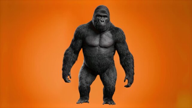 A massive 3D rendered gorilla standing upright with a powerful muscular build isolated on a warm orange backdrop. Great for fitness promos, wildlife concepts, power imagery, and strong mascot visuals.