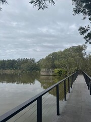 Fototapeta premium Scenic Boardwalk Through Peaceful Wetlands