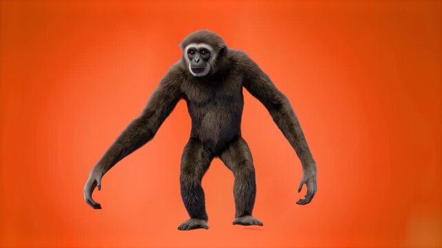 A realistic 3D gibbon monkey character poses against a warm, bright orange studio backdrop. Suitable for creative commercials, animal branding, and colorful promotional graphics.