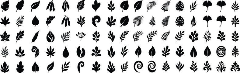 Fototapeta premium Botanical Leaf Silhouette Vector Set: Tropical Foliage, Monstera, Fern, Ginkgo, and Nature Icons