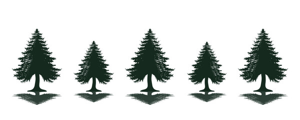 Fototapeta premium spruce logo design,vector,symbol,icon,silhouette,pine,wood,vintage,wood,evergreen,icon,symbol,silhouette,outdoor,plant,illustration,branch,landscape,park,spruce,graphic,black