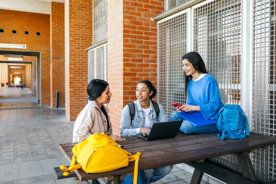 University students studying together on campus bench area