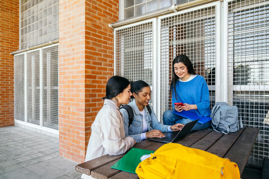 University student group studying outdoors on campus