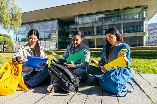 University students studying together on campus lawn