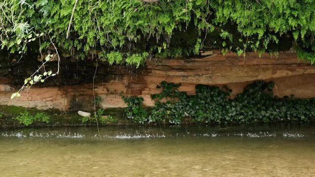 Footage of water flowing down from rocks covered with plants. Charca del Molino, Arnes, Spain.