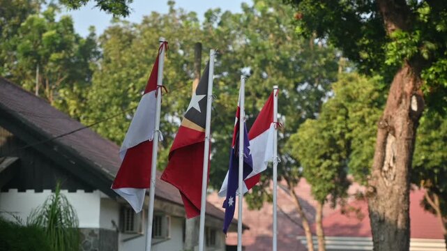 Indonesian and International Flags Waving Outdoors in a Peaceful Environment