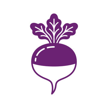 Purple Beetroot Vegetable Icon Graphic.