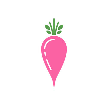 Pink Radish Vegetable Illustration.
