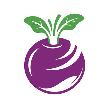 Purple Turnip Vegetable Illustration.