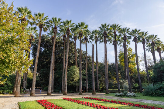 National Garden of Athens, Greece. Beautiful historic park in city center featuring tall palm trees, flower beds, walking paths and lush greenery. Located right behind the Greek Parliament building