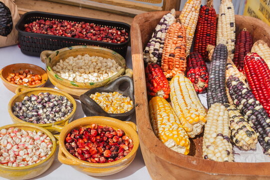 Traditional colorful Indian corn cobs and multicolored dried corn kernels arranged on rustic wooden and clay bowls. An Ecuadorian farmers' market.