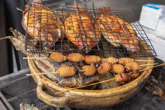 Traditional in Amazonian Indigenous cultures street food and natural remedy featuring chontacuros beetle larvae skewered alongside whole fish over an open coal grill. Ecuador