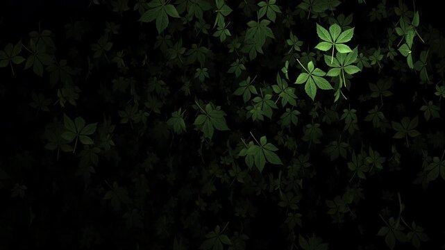 Animated video footage of green leaf particles drifting slowly downward.