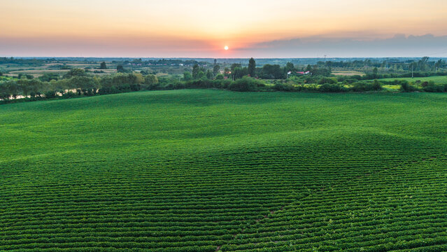 A serene rural landscape featuring neatly cropped green fields under a soft sunset sky, with distant trees and open terrain stretching to the horizon.