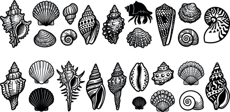 Sea shells silhouettes vector illustration set isolated on white background black ocean marine conch seashell icons collection for nautical graphic design