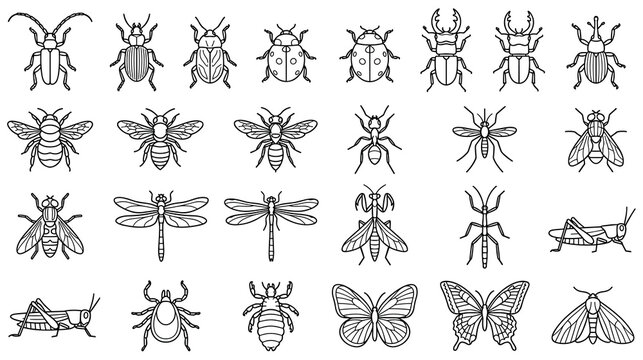 Set of insect and bug icons isolated on white background in outline style.