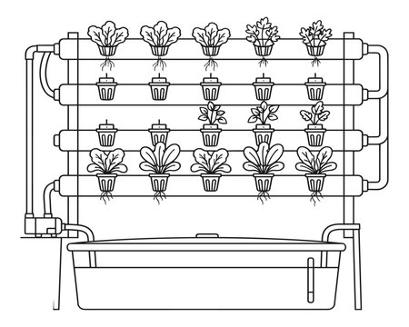 Hydroponic system with plants growing in pots on transparent background vector illustration.