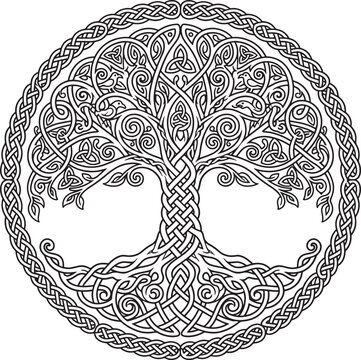 Intricate celtic tree of life symbol with intertwined branches and roots in a circular knotted border on a white background
