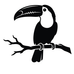 toucan on a branch silhouette © zeeshaniq