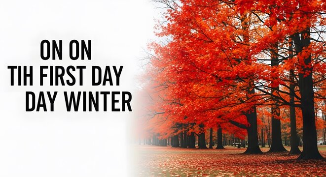 A scenic view of vibrant red autumn trees in a park celebrating the arrival of the first day of winter