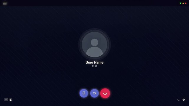 User interface for a digital video conferencing application