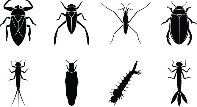 Aquatic Insects and Water Bugs Vector Silhouette Set Isolated on White Background Collection