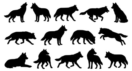 Obraz premium Black Wolf Silhouette Collection in Various Natural Poses Wildlife Vector Set
