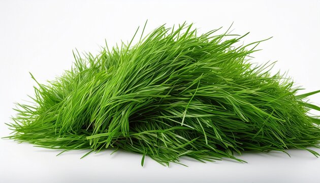 Green Grass Piled Together Lush And Realistic Isolated On White Background