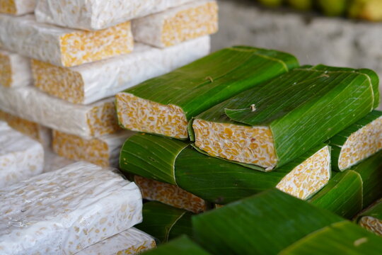 tempeh and tofu tahu indonesia