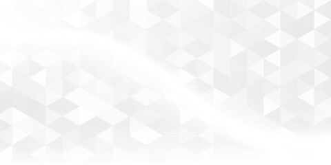 Obraz premium Gray White Polygon Mosaic Background, business and corporate background.