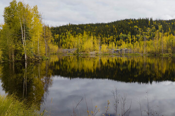 Calm lake reflecting golden autumn trees beside a coniferous forest © WILL PHOTOGRAPHY