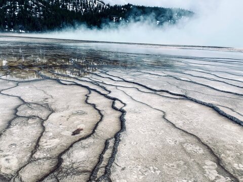 Parched and cracked earth